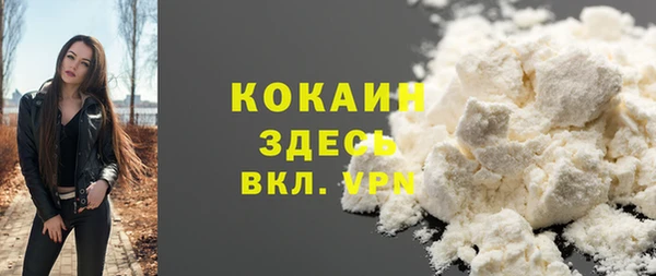 винт Бородино