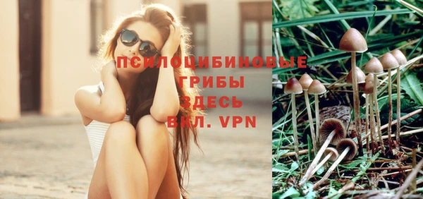винт Бородино