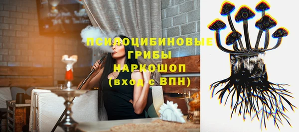гашик Бронницы